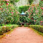 crystal-springs-rhododendron-garden